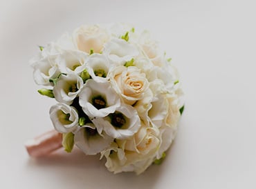 mt-0297-home-banner_1.jpg