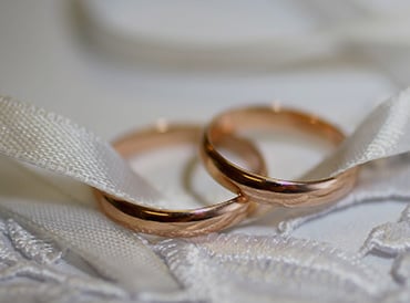 mt-0297-home-banner_2.jpg